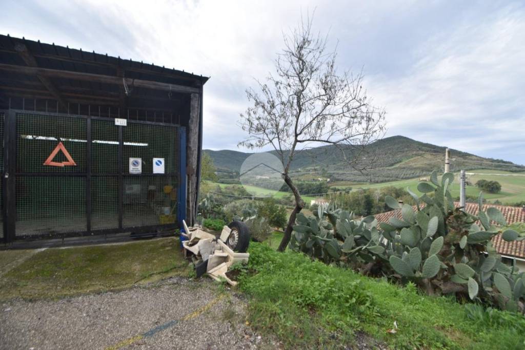 terreno agricolo in vendita ad Agropoli