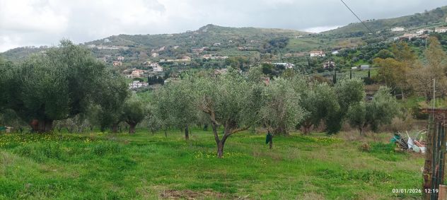 terreno agricolo in vendita ad Agropoli