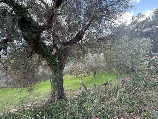 terreno agricolo in vendita ad Agropoli