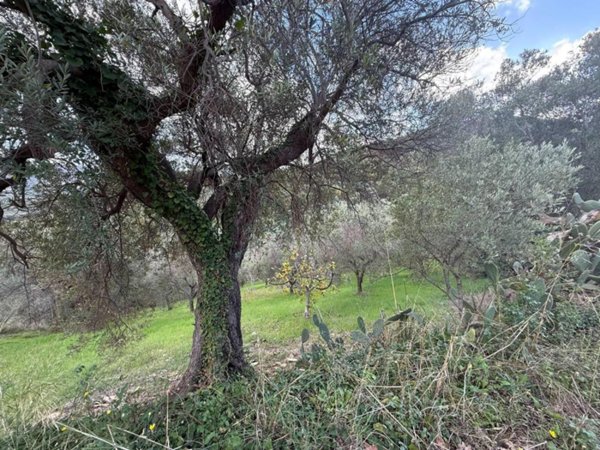 terreno agricolo in vendita ad Agropoli