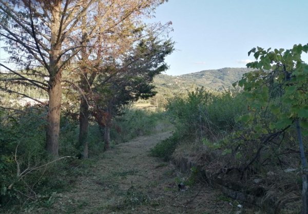 terreno agricolo in vendita ad Agropoli