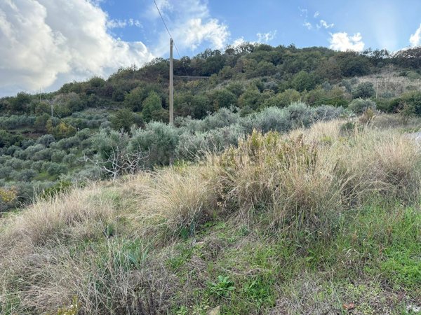 terreno agricolo in vendita ad Agropoli