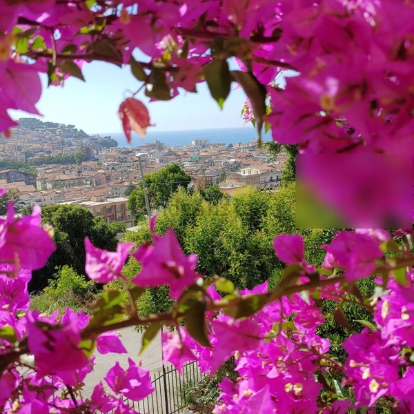 casa indipendente in vendita ad Agropoli