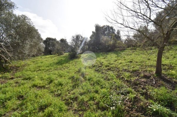 terreno agricolo in vendita ad Agropoli