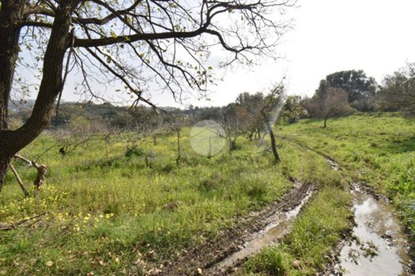terreno agricolo in vendita ad Agropoli