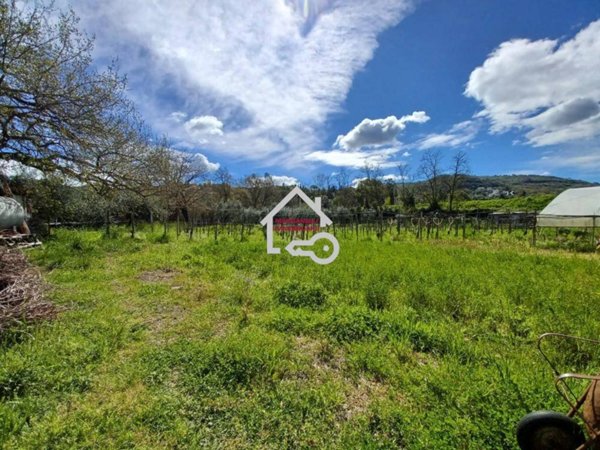 terreno agricolo in vendita ad Agropoli