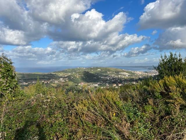 terreno agricolo in vendita ad Agropoli