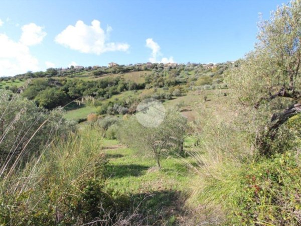 terreno agricolo in vendita ad Agropoli