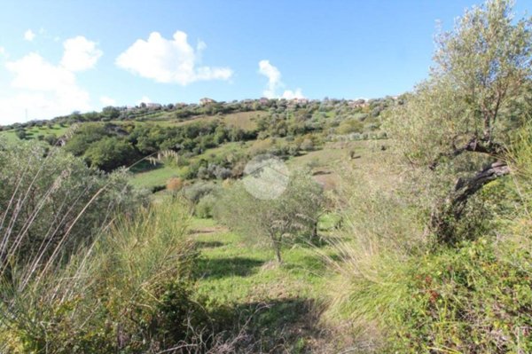 terreno agricolo in vendita ad Agropoli