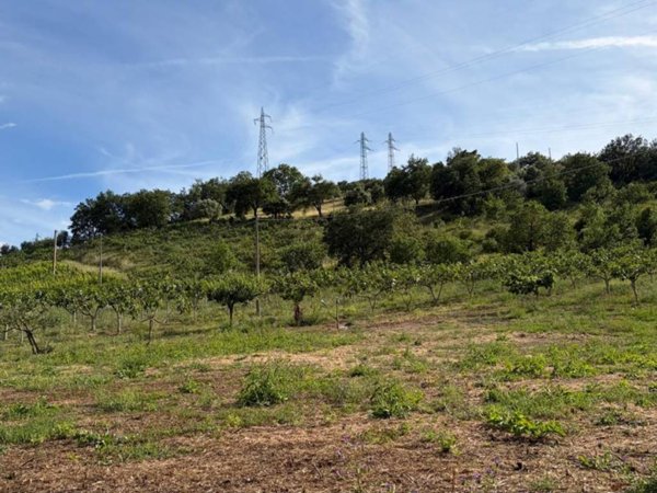 terreno agricolo in vendita ad Agropoli