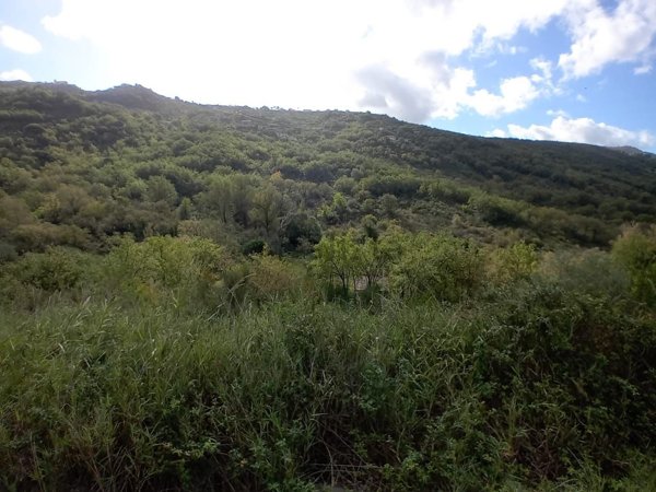 terreno agricolo in vendita ad Agropoli