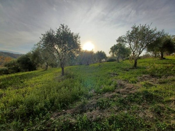 terreno agricolo in vendita ad Agropoli