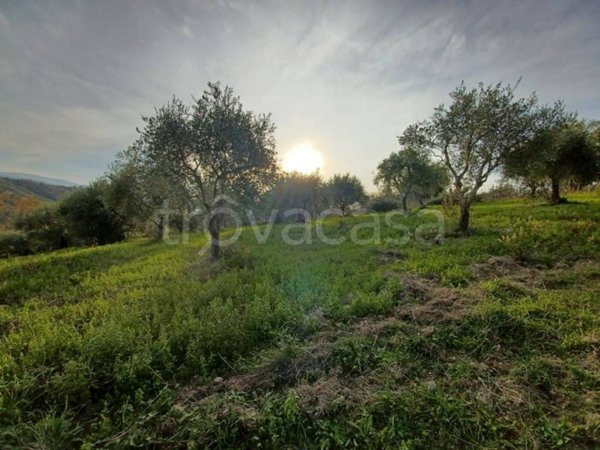 terreno agricolo in vendita ad Agropoli