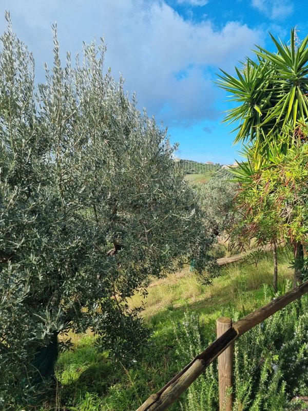 terreno agricolo in vendita ad Agropoli