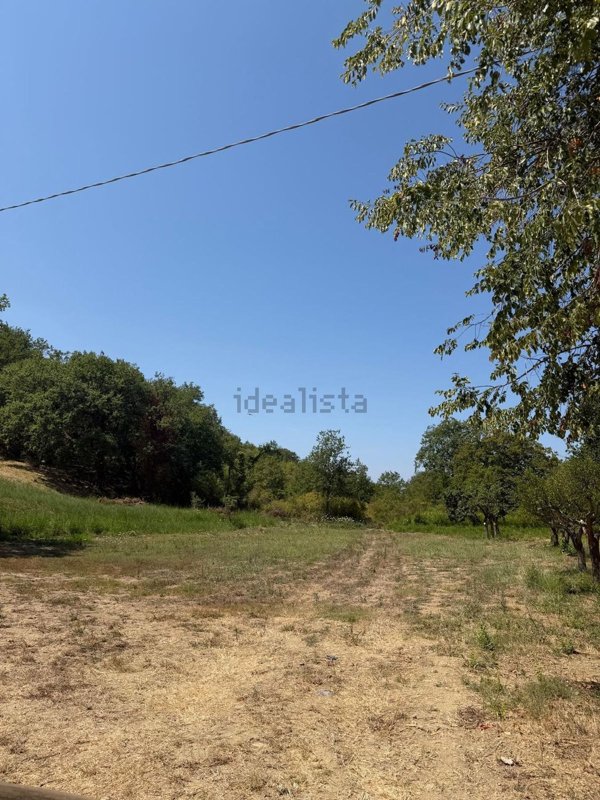 terreno agricolo in vendita ad Agropoli