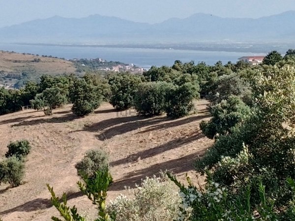 terreno agricolo in vendita ad Agropoli