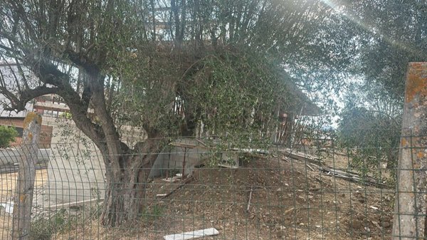 casa indipendente in vendita ad Agropoli