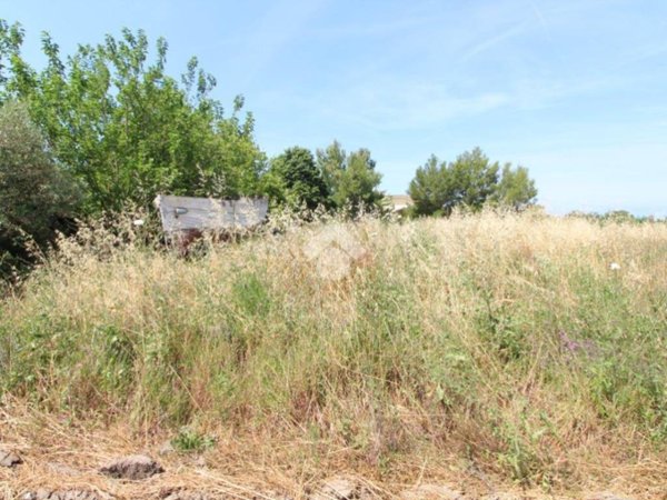 terreno agricolo in vendita ad Agropoli