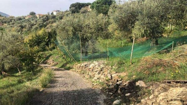 terreno agricolo in vendita ad Agropoli