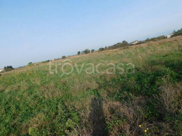 terreno agricolo in vendita ad Albanella