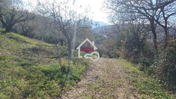 terreno agricolo in vendita ad Albanella