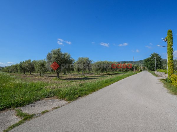 terreno agricolo in vendita ad Albanella