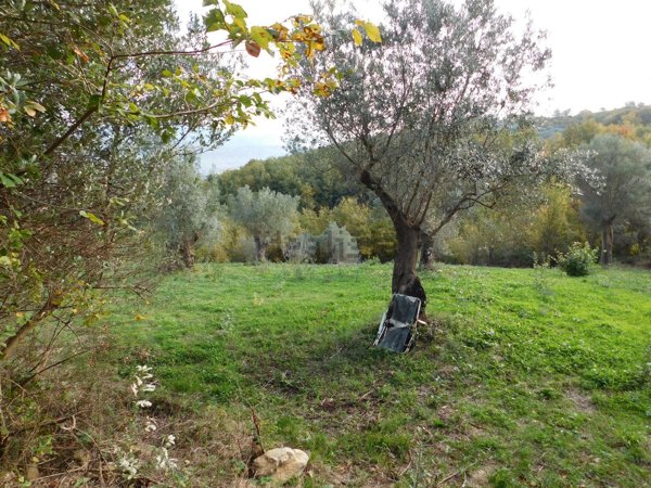 casa indipendente in vendita ad Albanella