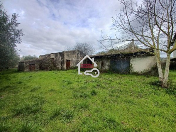 terreno agricolo in vendita ad Albanella