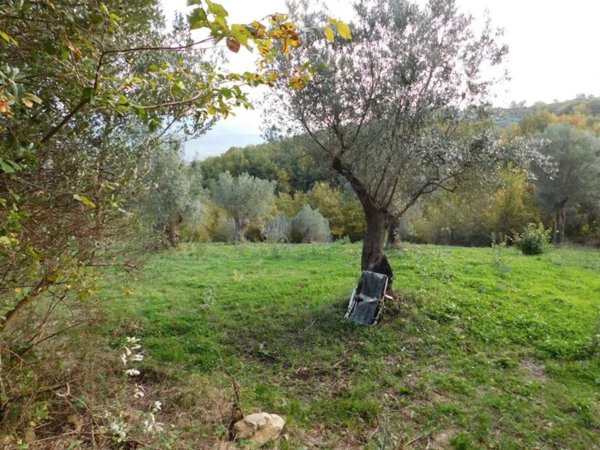 terreno agricolo in vendita ad Albanella
