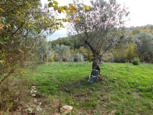 casa indipendente in vendita ad Albanella
