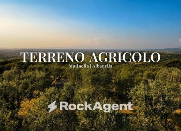 terreno agricolo in vendita ad Albanella