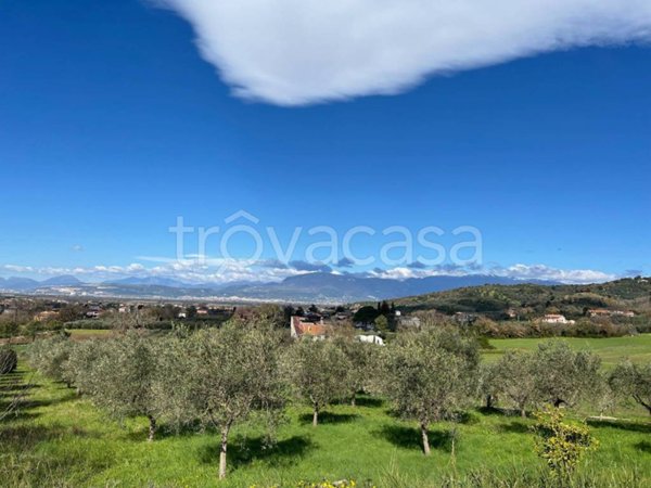 terreno agricolo in vendita ad Altavilla Silentina