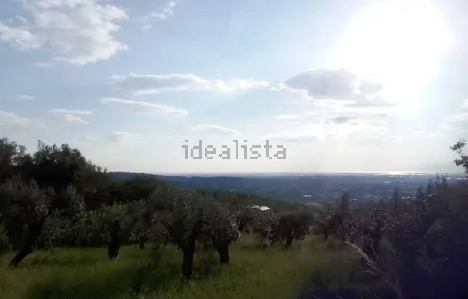 immagine annuncio 0 di 1