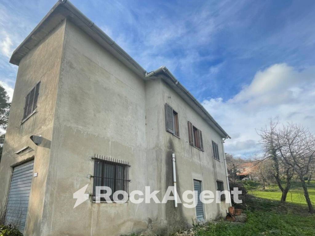 casa indipendente in vendita ad Altavilla Silentina in zona Borgo Carillia
