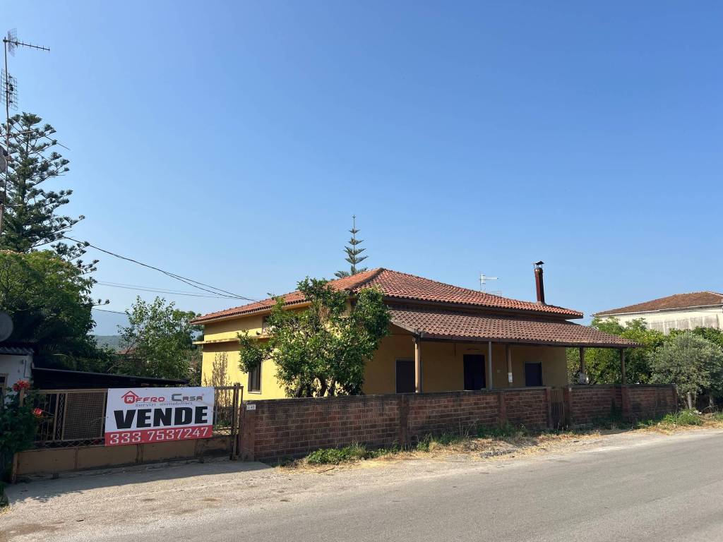 immagine annuncio 0 di 15