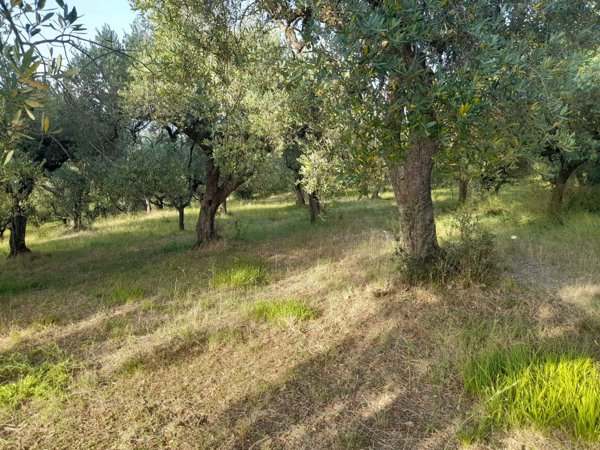 rudere in vendita ad Altavilla Silentina