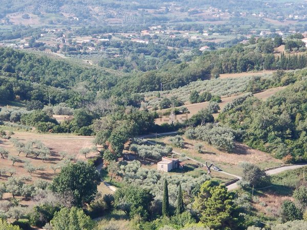 terreno agricolo in vendita ad Altavilla Silentina