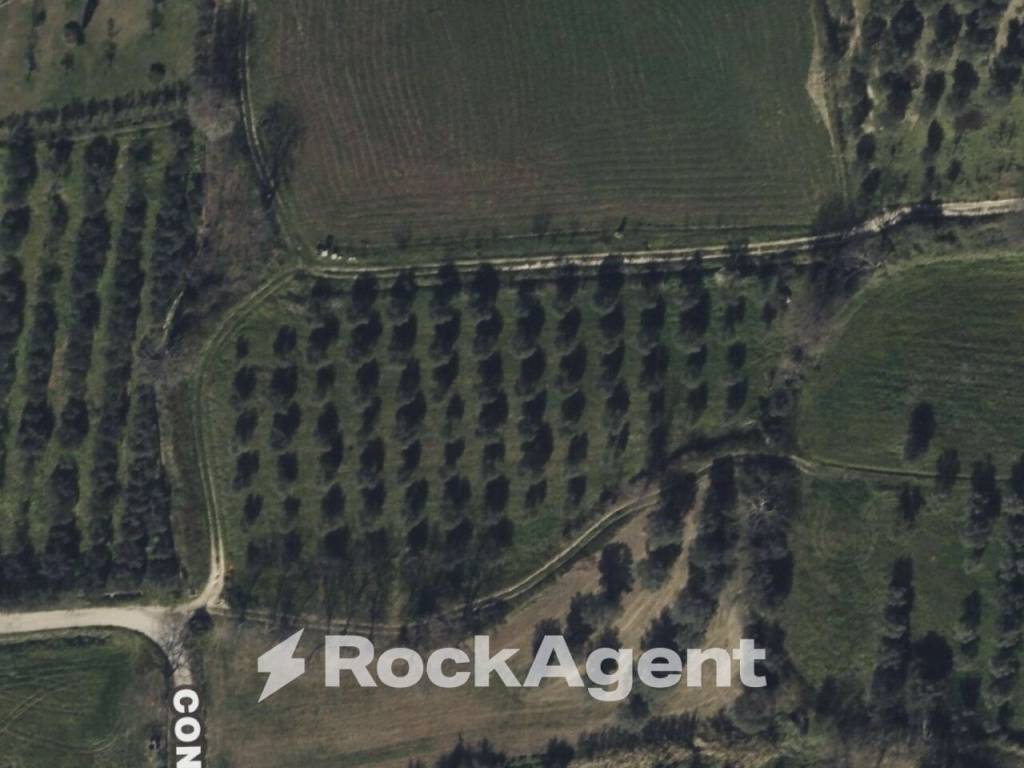 terreno agricolo in vendita ad Altavilla Silentina