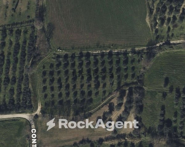 terreno agricolo in vendita ad Altavilla Silentina