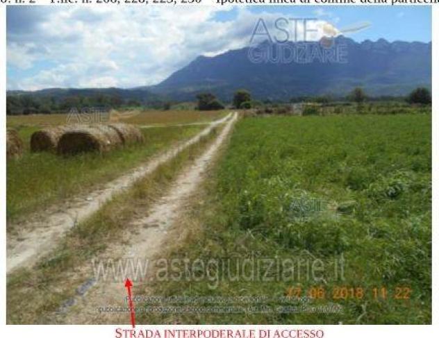 terreno agricolo in vendita ad Altavilla Silentina in zona Cerrocupo