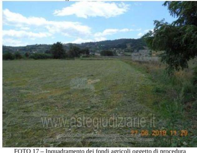 terreno agricolo in vendita ad Altavilla Silentina in zona Cerrocupo