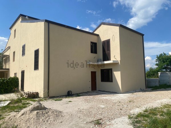 esavano in vendita ad Altavilla Silentina in zona Cerrelli