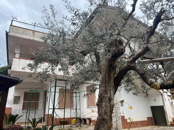 casa indipendente in vendita ad Altavilla Silentina