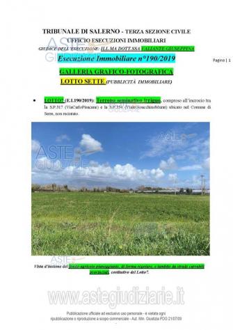 terreno agricolo in vendita ad Altavilla Silentina