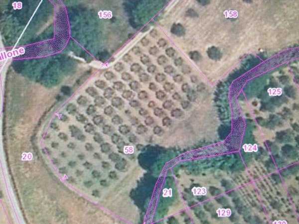 terreno agricolo in vendita ad Altavilla Silentina in zona Cerrocupo