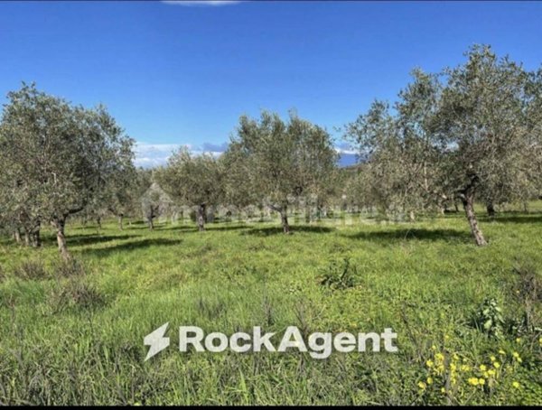 casa indipendente in vendita ad Altavilla Silentina in zona Cerrocupo