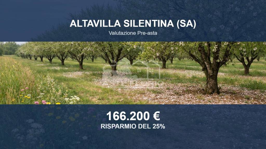 terreno agricolo in vendita ad Altavilla Silentina in zona Cerrocupo
