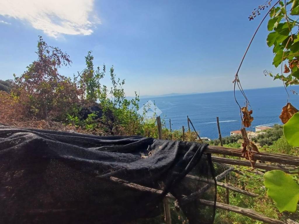 terreno agricolo in vendita ad Amalfi in zona Pastena/Lone
