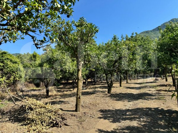 terreno agricolo in vendita ad Angri