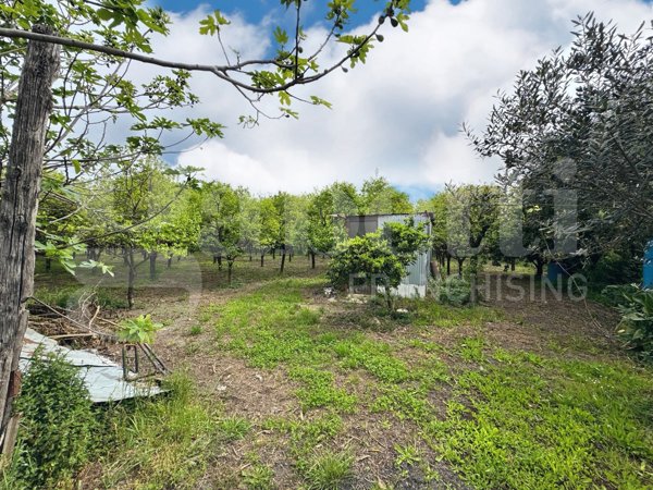 terreno agricolo in vendita ad Angri